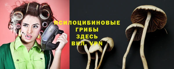ешки Михайлов