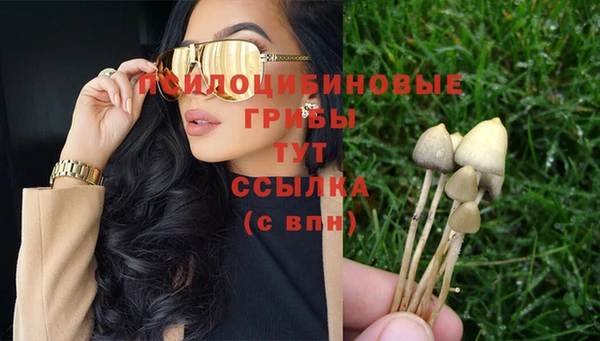 амф Михайловск