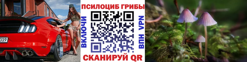 Галлюциногенные грибы ЛСД  darknet наркотические препараты  MEGA сайт  Карабаш  сколько стоит 
